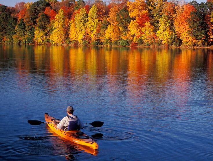 Lakeside Rentals Kuttawa, KY