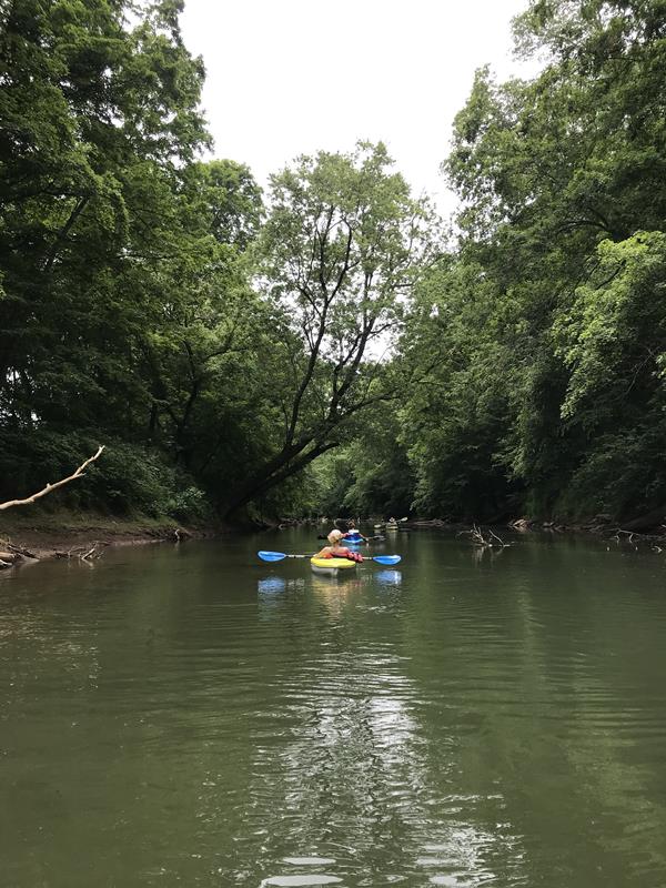 Lakeside Rentals Kuttawa, KY